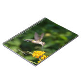 Carnet Hummingbird Sanctuary Professional Photography  (Côté gauche)