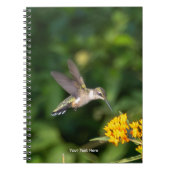 Carnet Hummingbird Sanctuary Professional Photography  (Devant)