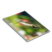 Carnet Hummingbird Sanctuary Professional Photography  (Côté Droit)