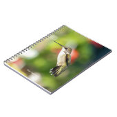 Carnet Hummingbird Sanctuary Professional Photography  (Côté gauche)