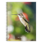 Carnet Hummingbird Sanctuary Professional Photography  (Devant)