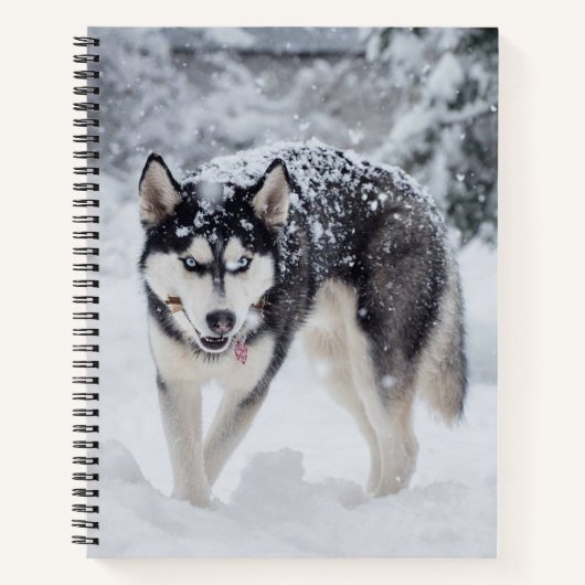 Carnet Husky dans la neige (Devant)
