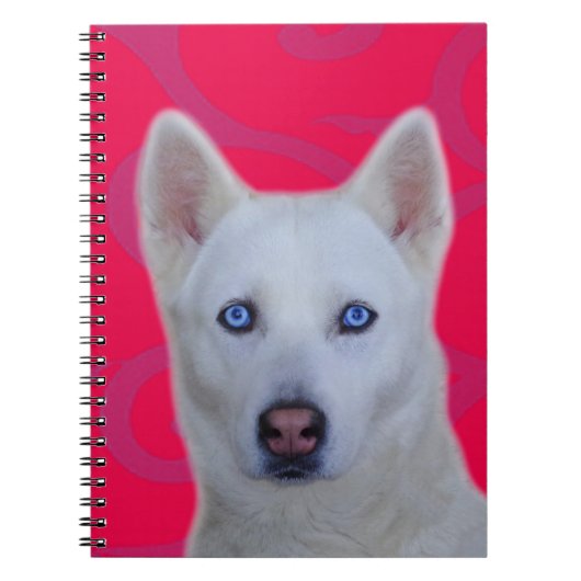 Carnet Husky Sibérien Blanc (Devant)