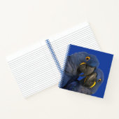 Carnet Hyacinth Macaw (Intérieur)