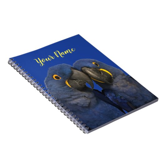 Carnet Hyacinth Macaw (Côté Droit)