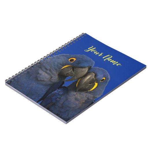 Carnet Hyacinth Macaw (Côté gauche)