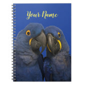 Carnet Hyacinth Macaw (Devant)