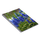 Carnet Hyacinthe de raisin (Côté Droit)
