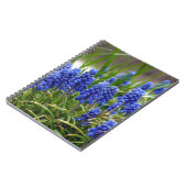 Carnet Hyacinthe de raisin (Côté gauche)