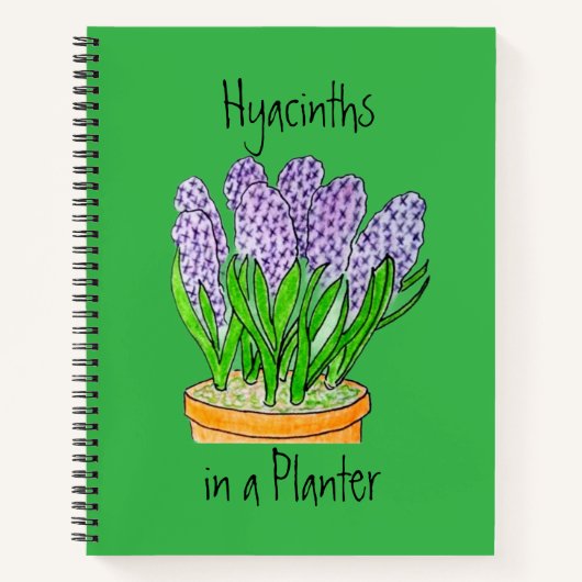 Carnet Hyacinthes pourpres a dans Planter (Devant)