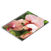 Carnet Hybride d'orchidée orange, Afrique du Sud (Côté gauche)