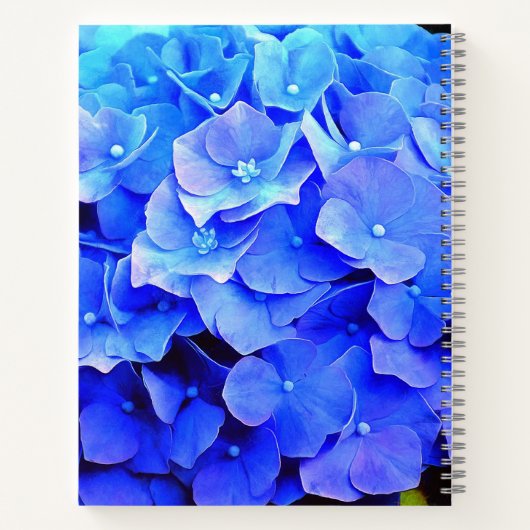 Carnet Hydrangea Blues (Dos)