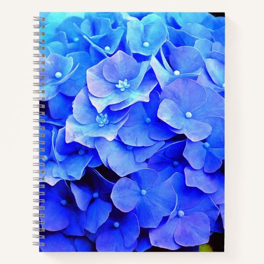 Carnet Hydrangea Blues (Devant)