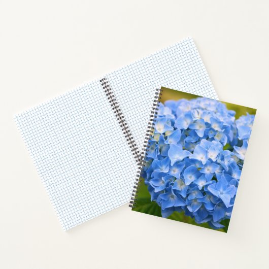 CARNET HYDRANGEA CAPE COD (Intérieur)