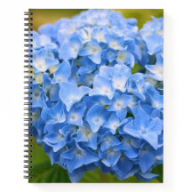 CARNET HYDRANGEA CAPE COD