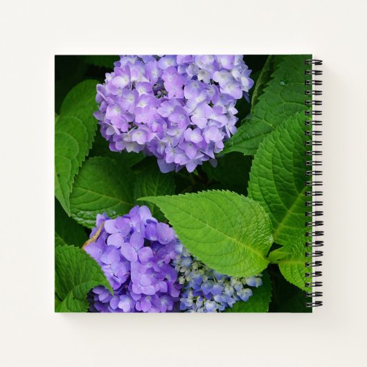 Carnet Hydrangea lavande (Dos)