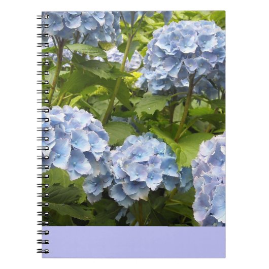 Carnet Hydrangeas Bleu Profond (Devant)