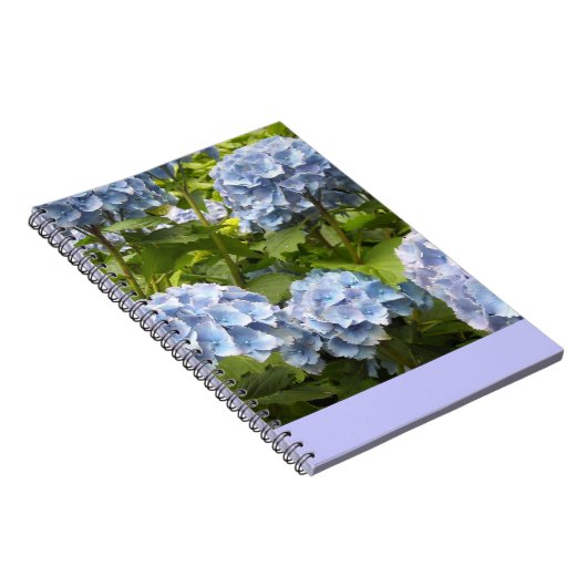 Carnet Hydrangeas de Deep (Côté Droit)