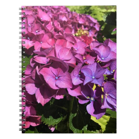 Carnet Hydrangée (Devant)