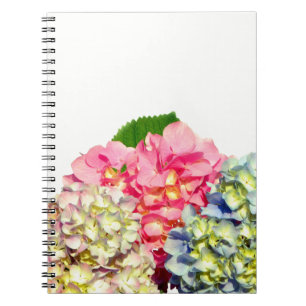 Carnet Hydrangées florales rose pâle bleu jaune vert
