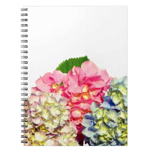 Carnet Hydrangées florales rose pâle bleu jaune vert (Devant)