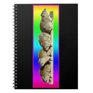 Carnet Hyrax africain froid