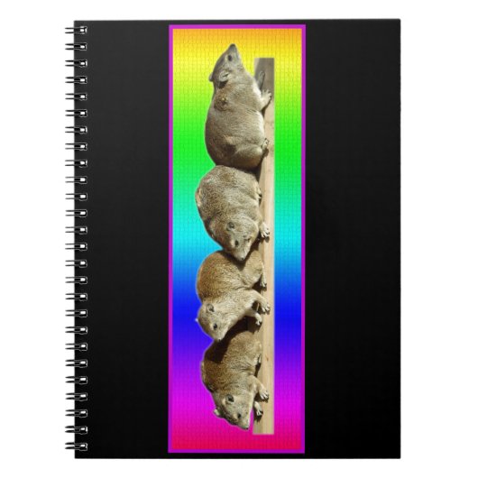 Carnet Hyrax africain froid (Devant)
