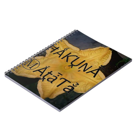 Carnet I am a star within. (Côté gauche)