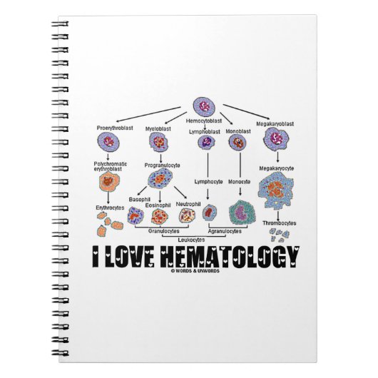 Carnet I Love Hematology (Devant)
