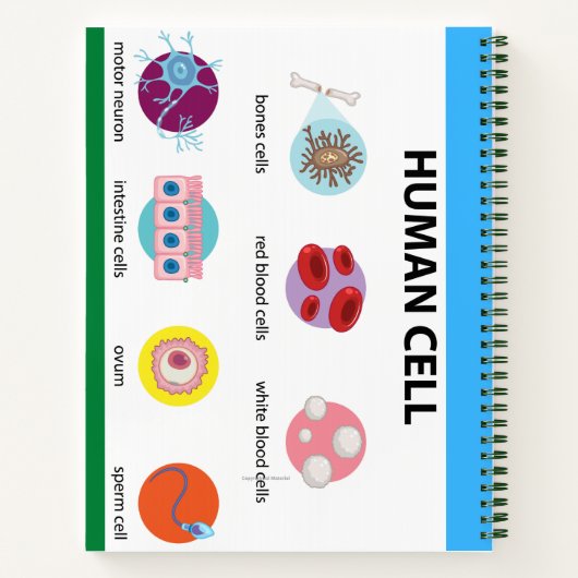 CARNET Icônes BIOLOGIQUES (VERT) (Dos)
