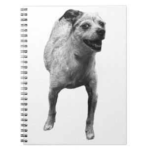 Carnet Idées Avec Un Wag