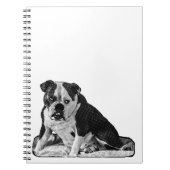 Carnet Idées dans les tons doux (Devant)