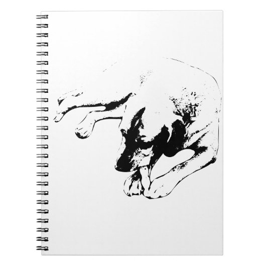 Carnet Idées pour continuer (Devant)