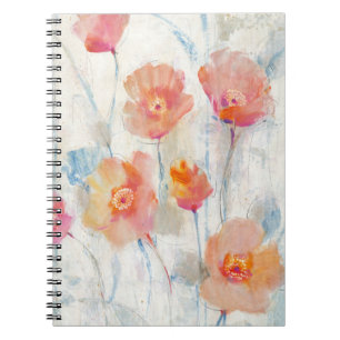 Carnet II translucide