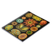 Carnet Illustration 6.5X8.75 de vie marine de Haeckel (Côté gauche)