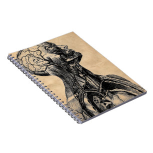 Carnet Illustration anatomique vintage du corps supérieu