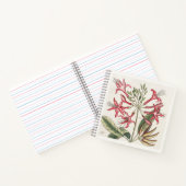 Carnet Illustration botanique rose Art du 18e siècle (Intérieur)