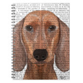 Carnet Illustration Dachshund Plain (Devant)