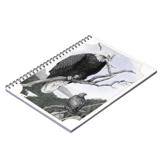 Carnet Illustration de cru d'Eagle chauve (Côté gauche)