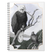 Carnet Illustration de cru d'Eagle chauve (Devant)