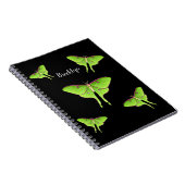 Carnet illustration de dessin animé de papillon luna (Côté Droit)