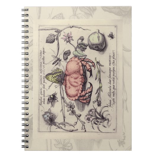 Carnet Illustration de fleur d'insecte botanique de crabe (Devant)