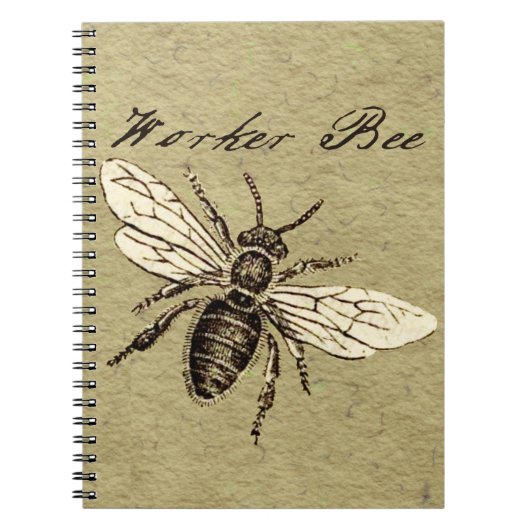 Carnet Illustration de l'insecte d'abeille vintage (Devant)