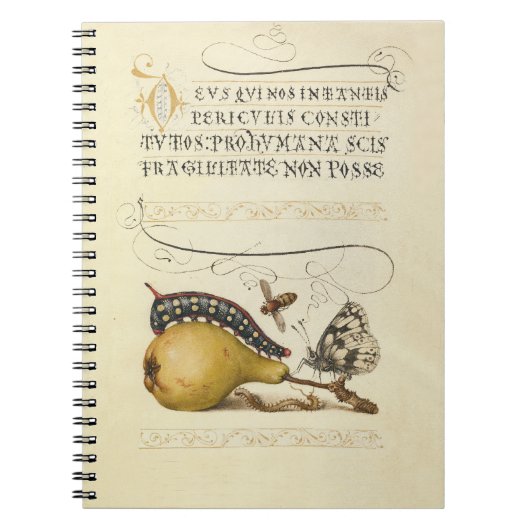 Carnet Illustration de l'insecte du fruit du papillon (Devant)
