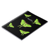 Carnet Illustration de Luna Moth (Côté gauche)