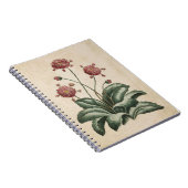 Carnet Illustration de marguerite vintage (Côté Droit)