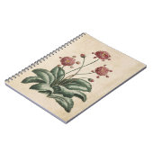 Carnet Illustration de marguerite vintage (Côté gauche)