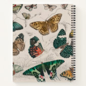 Carnet Illustration de papillon antique : 1820 Orfèvre (Dos)