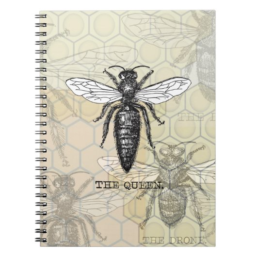 Carnet Illustration de reine abeille insecte (Devant)