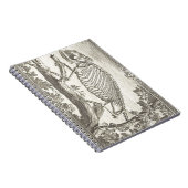 Carnet Illustration de squelette de caméléon (Côté Droit)